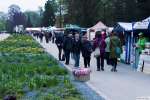 Flora Olomouc 2017