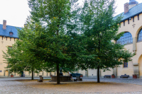 Kutná Hora, Pardubice
