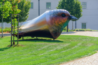 Kutná Hora, Pardubice
