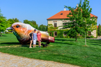 Kutná Hora, Pardubice