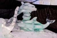 Ledové sochy