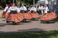 Rozmarné léto, 21. 06. 2026 Háj ve Slezsku